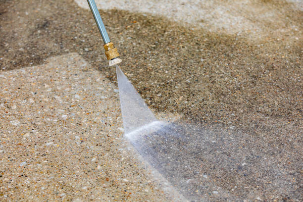 Best Animal Enclosure Cleaning  in Roan Mountain, TN